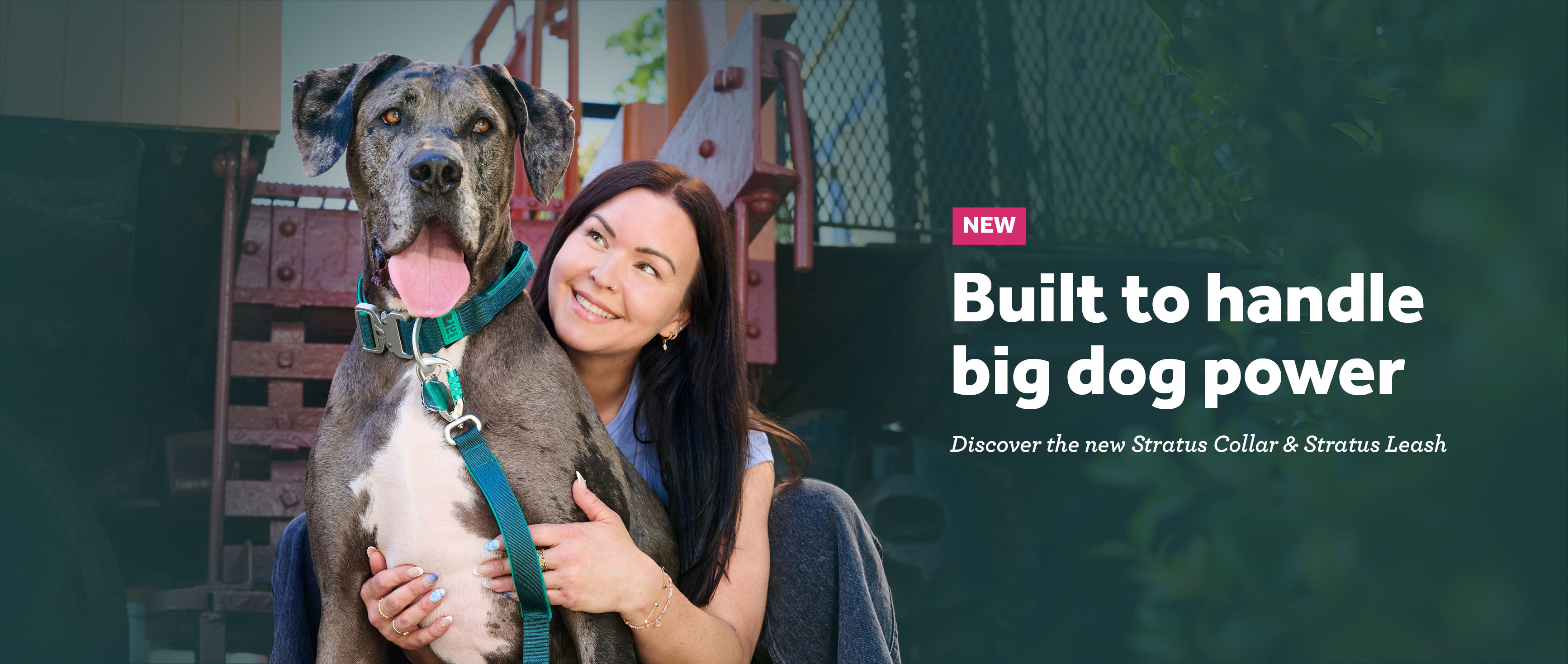 Woman with a large dog, promoting a new Stratus Collar for big dogs.