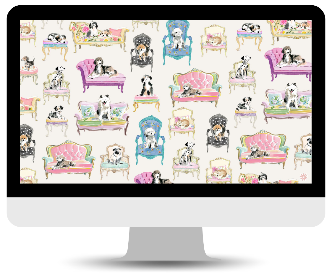 sit stay plan dogs on chairs desktop wallpaper