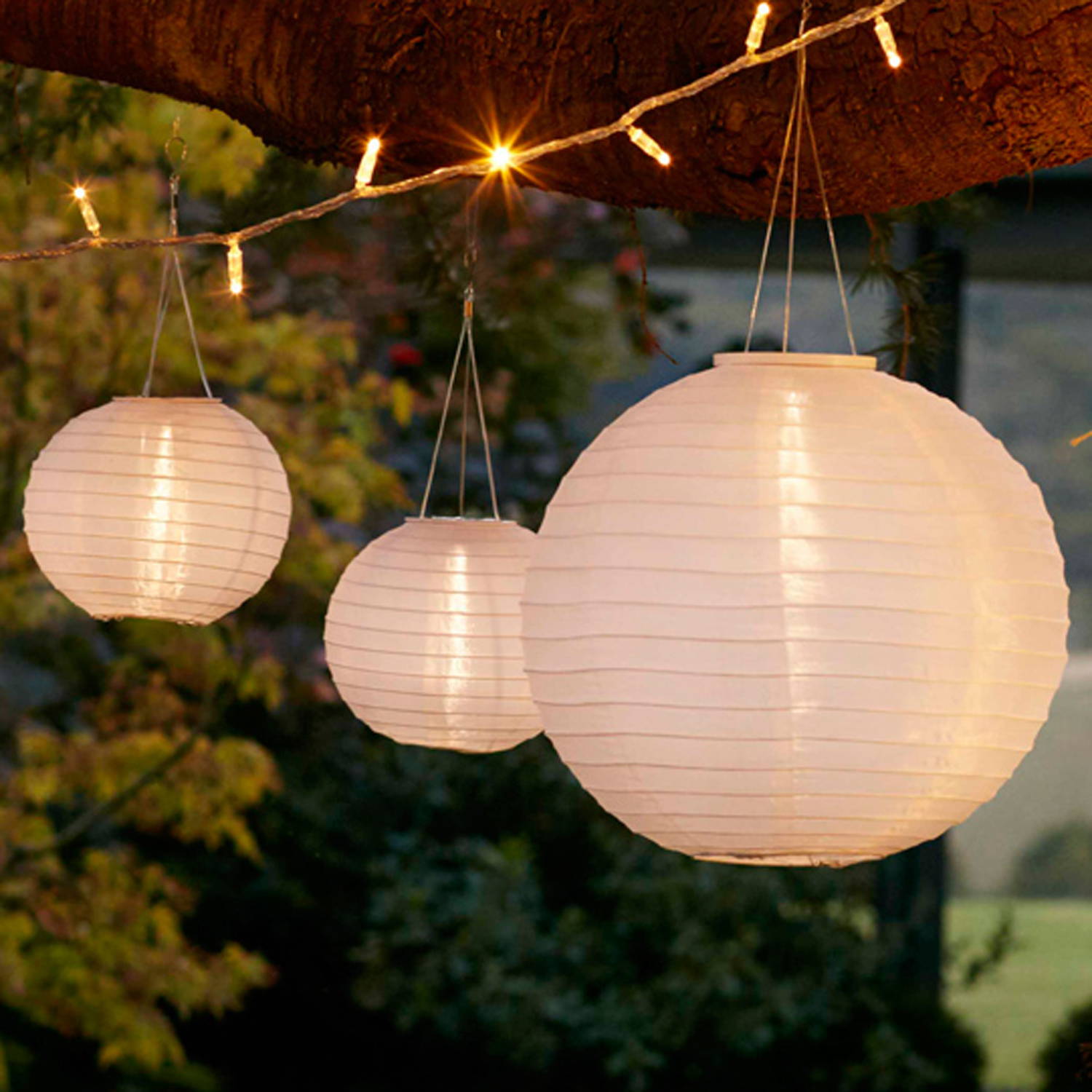 3 white solar lanterns hanging from some fairy lights in a summer garden.