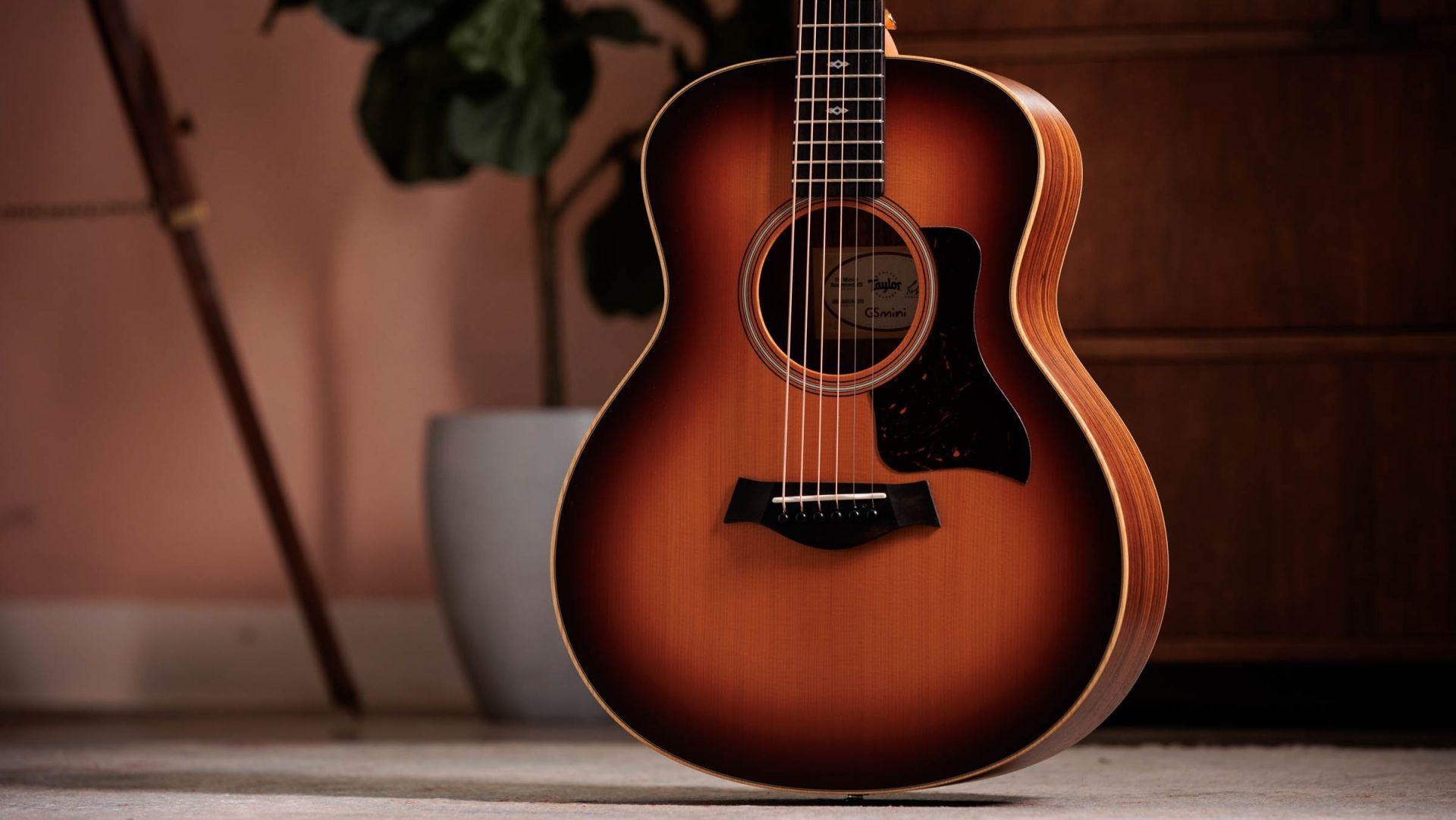 Guitar Case & a Taylor Guitar