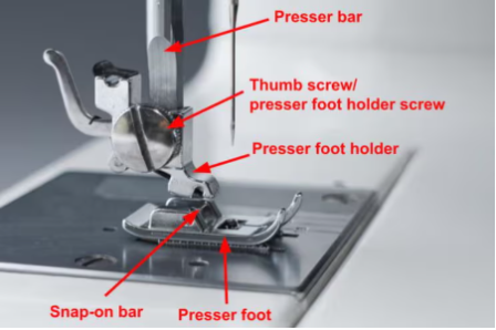 labelled close-up of shank, presser foot holder, thumb screw, presser foot and needle