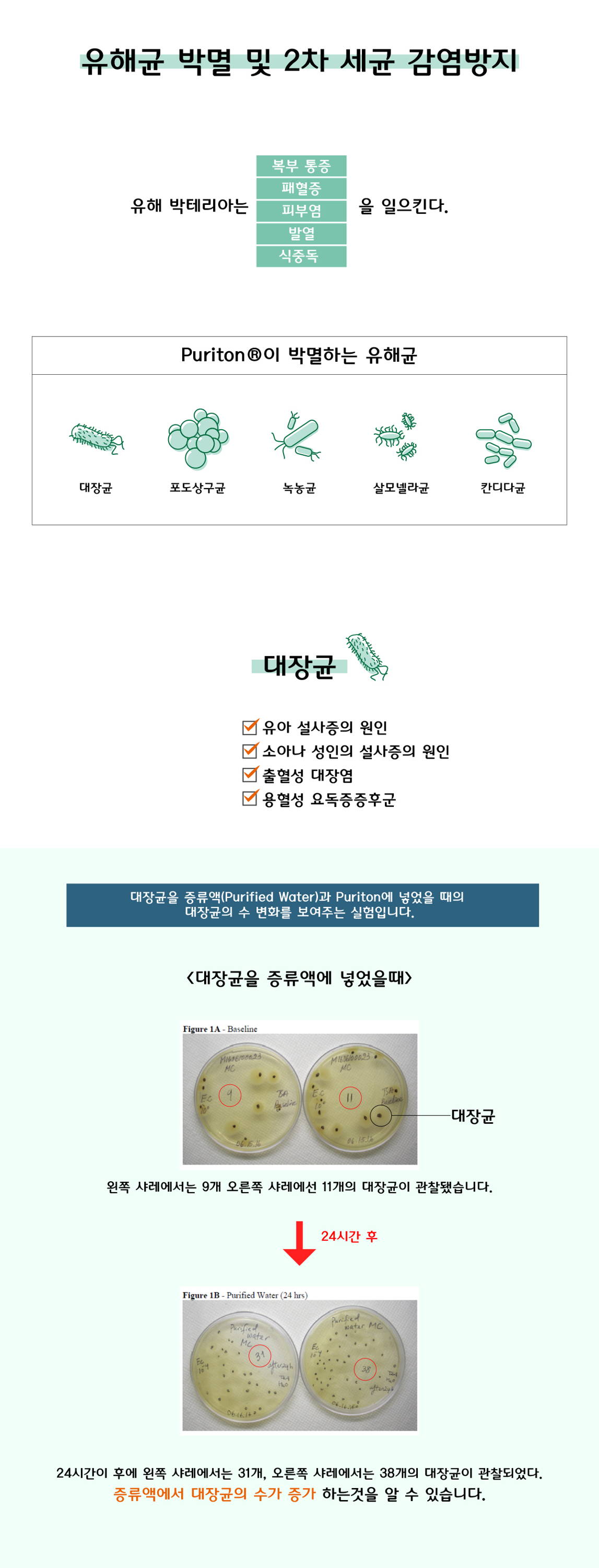 유해균 박멸 및 2차 세균 감염방지 복부통증 패혈증 피부염 발열 식중독 대장균 포초상구균 녹농균 살모넬라균 칸디다균 유아 성인 설사증 원인 출혈성 대장염 용혈성 요독증증후군 
