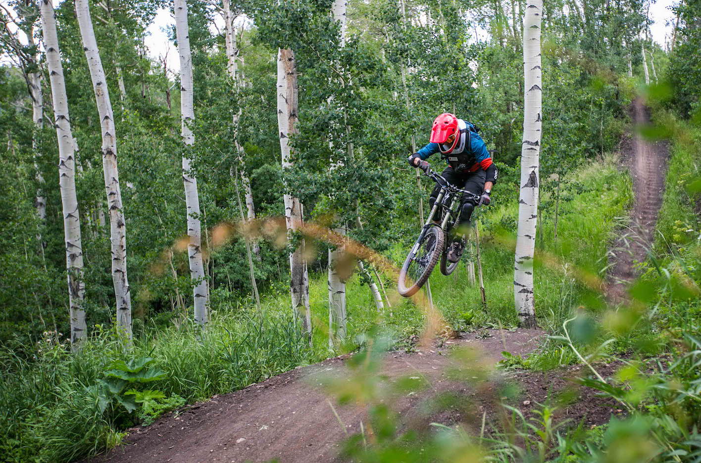 A mountain biker catching a bit of air in the forest.