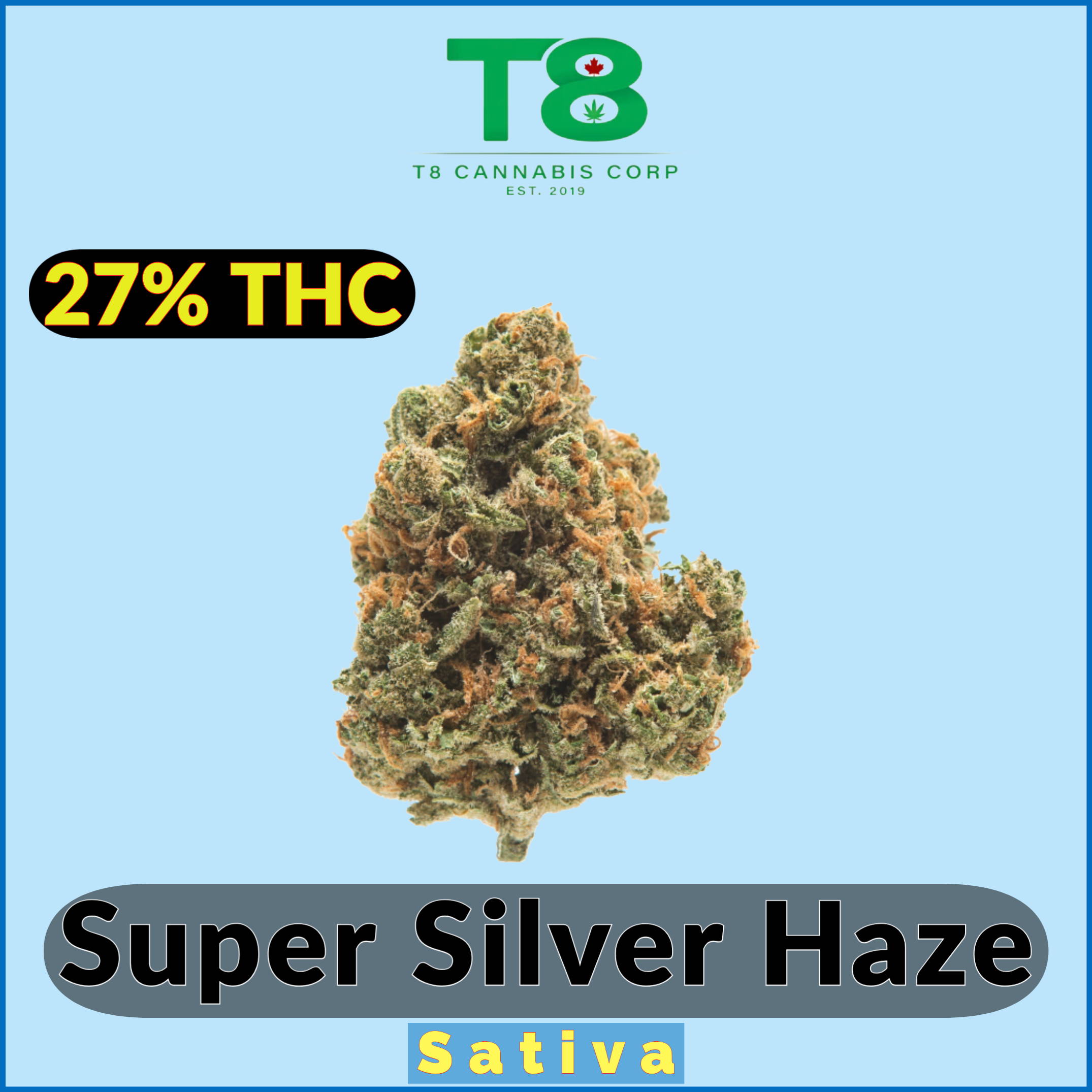 Super Silver Haze by T8C | Jupiter Cannabis Winnipeg