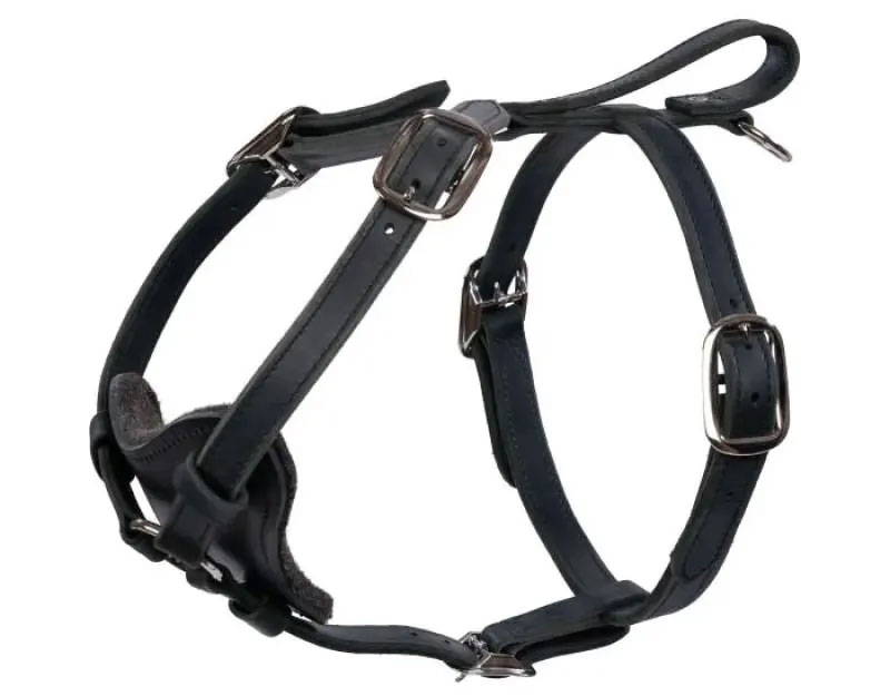 Double Layer Leather Harness Image
