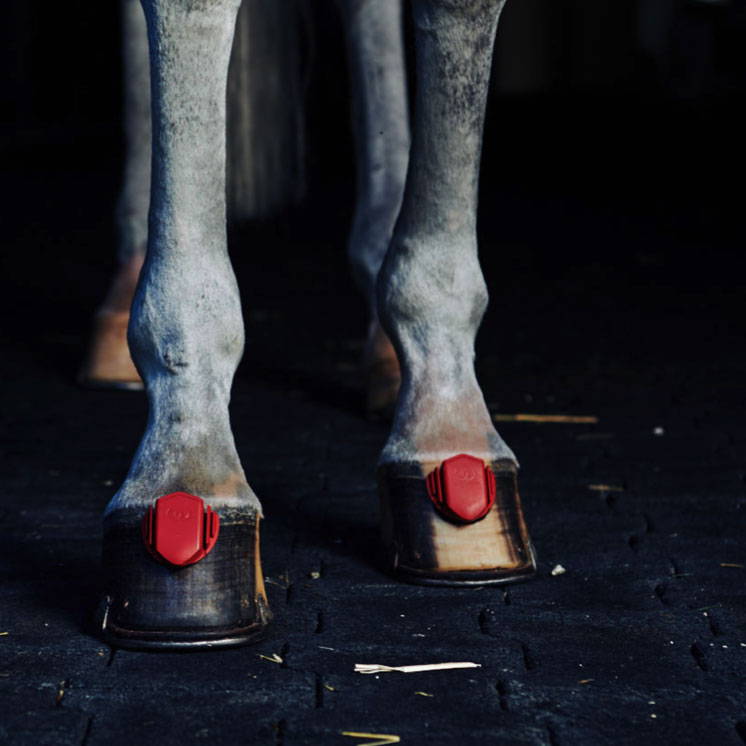 Werkman horseshoes