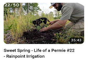 Sweet Spring - Life of a Permie #22 - Rainpoint Irrigation