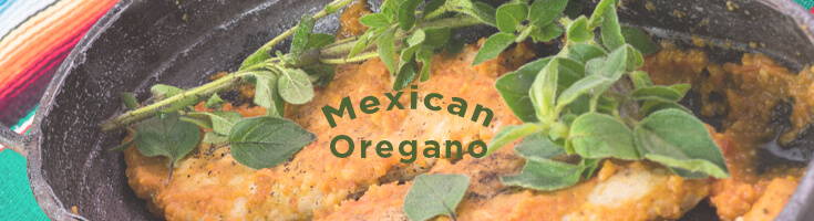 High Quality Organics Express Mexican Oregano on breaded chicken