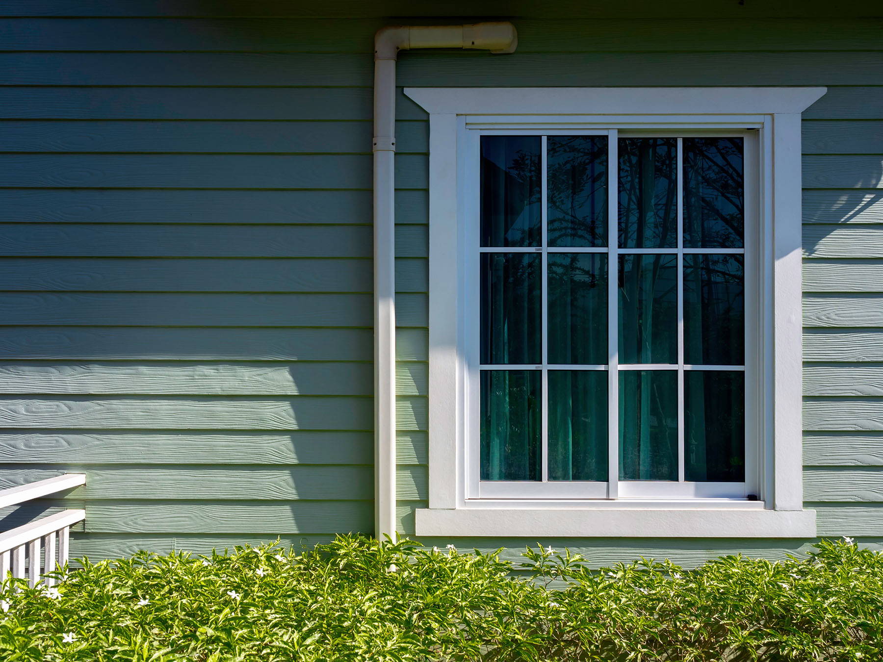 Trimmed bushes at front of house