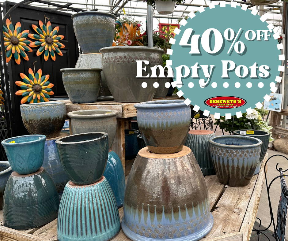 40% off Empty Pots