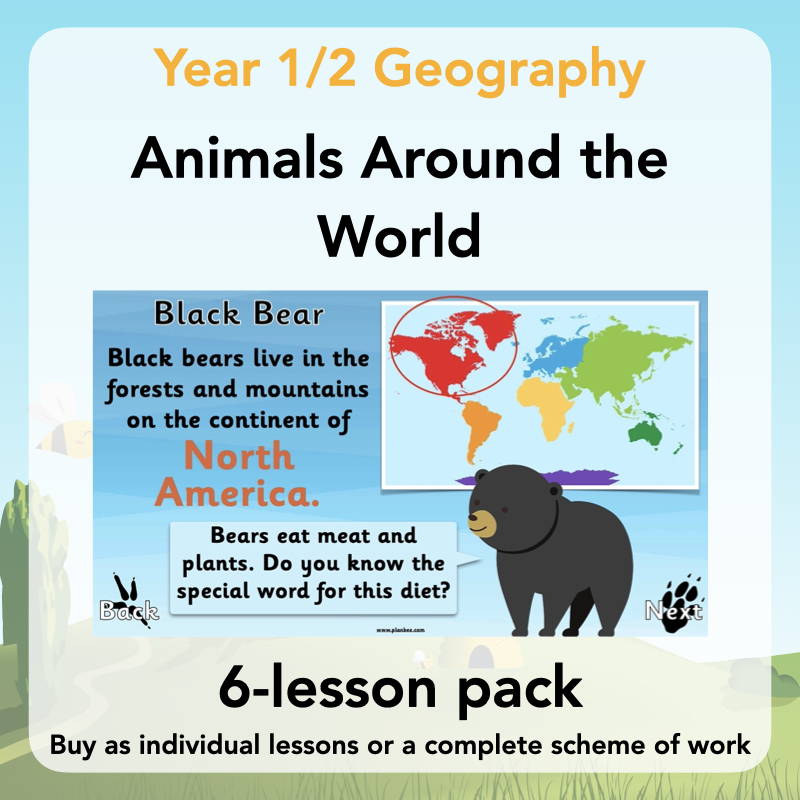 Year 1 Curriculum - Animals Around the World