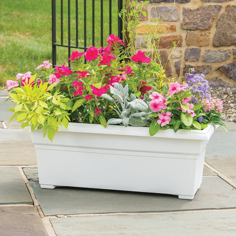 Flowers growing in a white countryside flower box