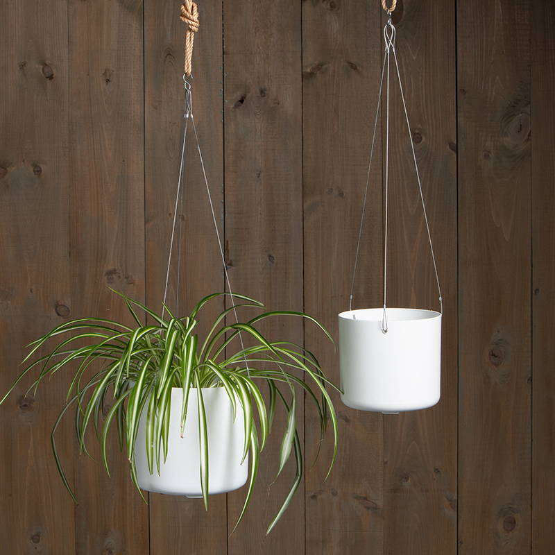 2 white lena round hanging planters