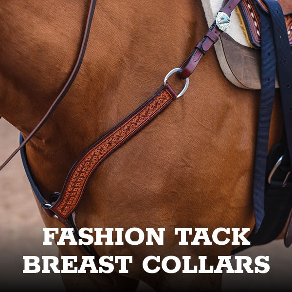 Fashion tack breast collars on a horse's harness.