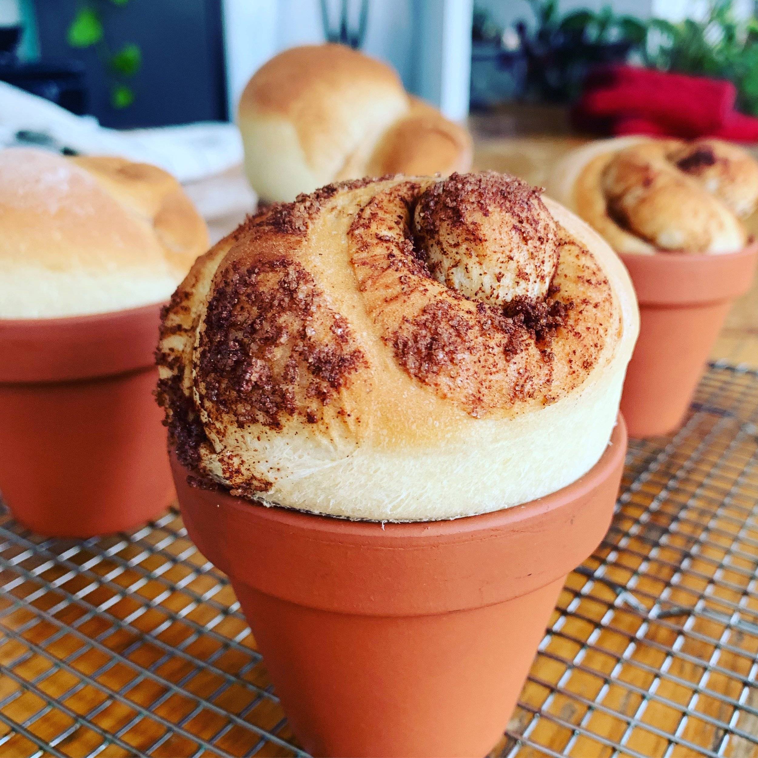 Instructions: How to Make Flower Pot Bread — FarmSteady