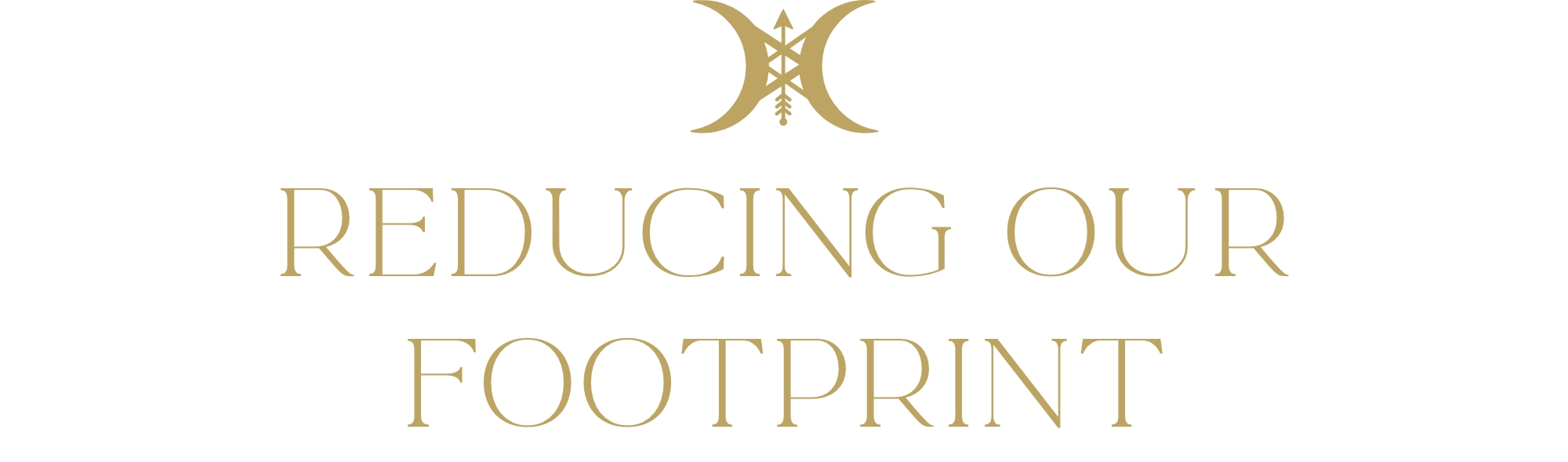Reducing Our Footprint