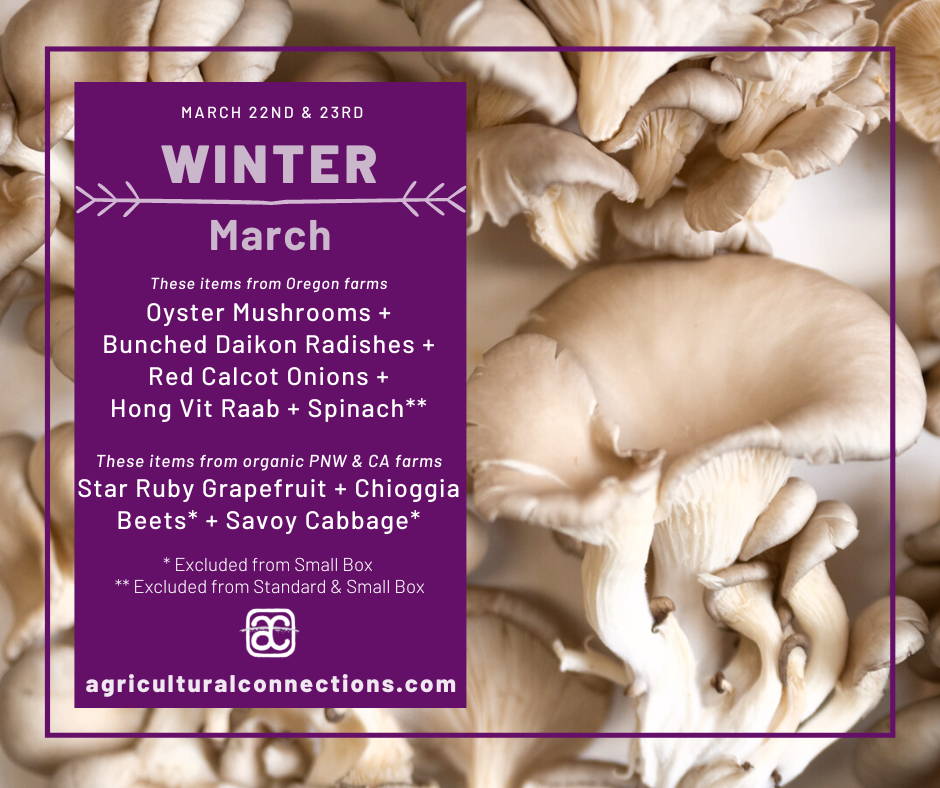 An image of grey and white oyster mushrooms on a white table, with a purple text box superimposed on top. In the text box, the box contents for Mar 22-23 are listed. Local & Oregon: oyster mushrooms, bunched daikon radishes, red calcot onions, hong vit raab, and spinach (full box only). From CA and WA: star ruby grapefruit, chioggia beets (not in small box), and savoy cabbage (not in small box).
