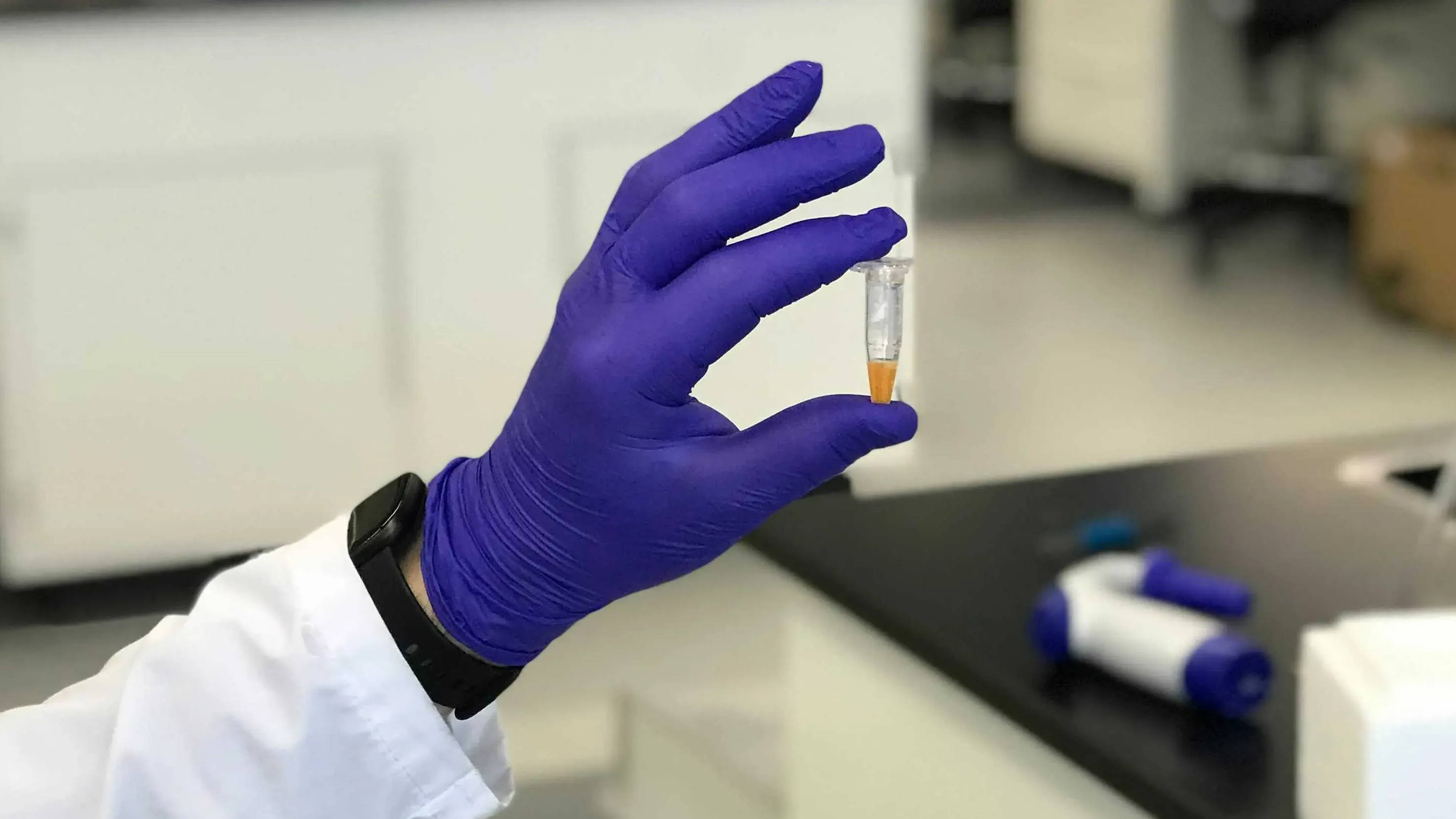 A purple gloved hand holds a small vial filled with orange liquid - a sample of the growth factor Future Fields