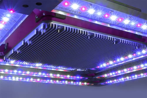 KIND LED Grow Light Spectrum