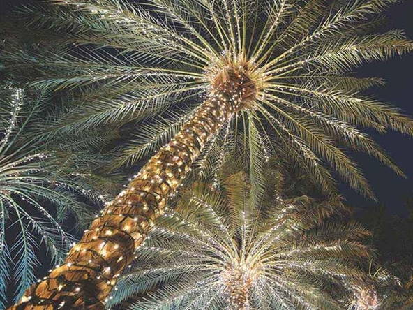 wrapped trees with Versaline Everlastrings