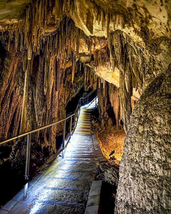 Hastings Caves & Thermal Springs – Hastings, Tasmania