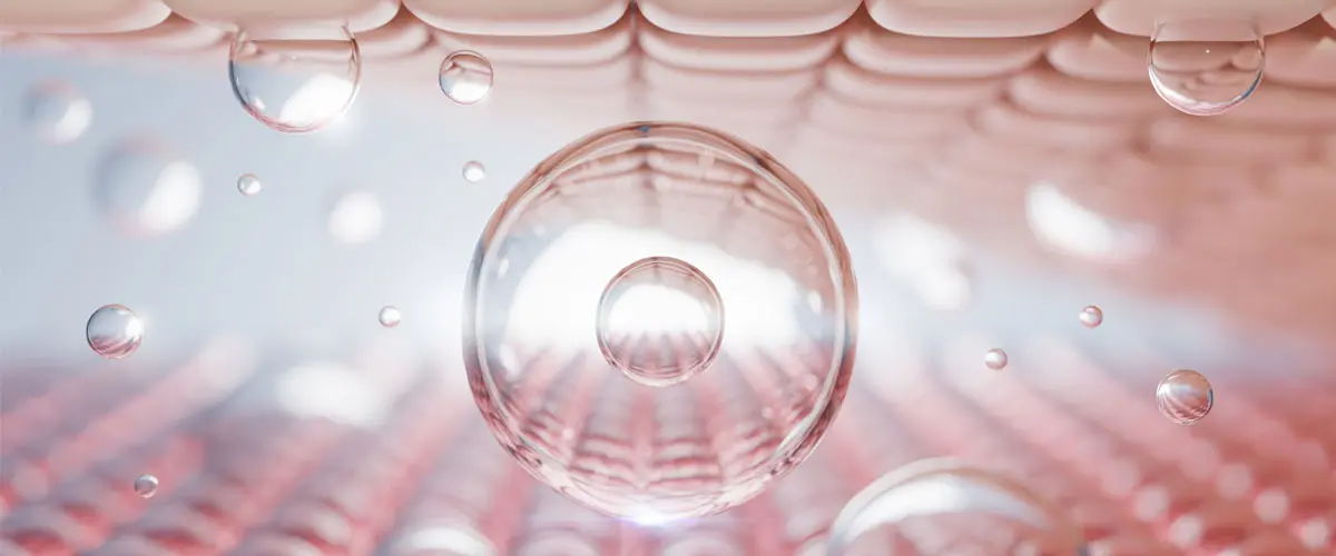 Collagen peptides activating fibroblasts for skin renewal.