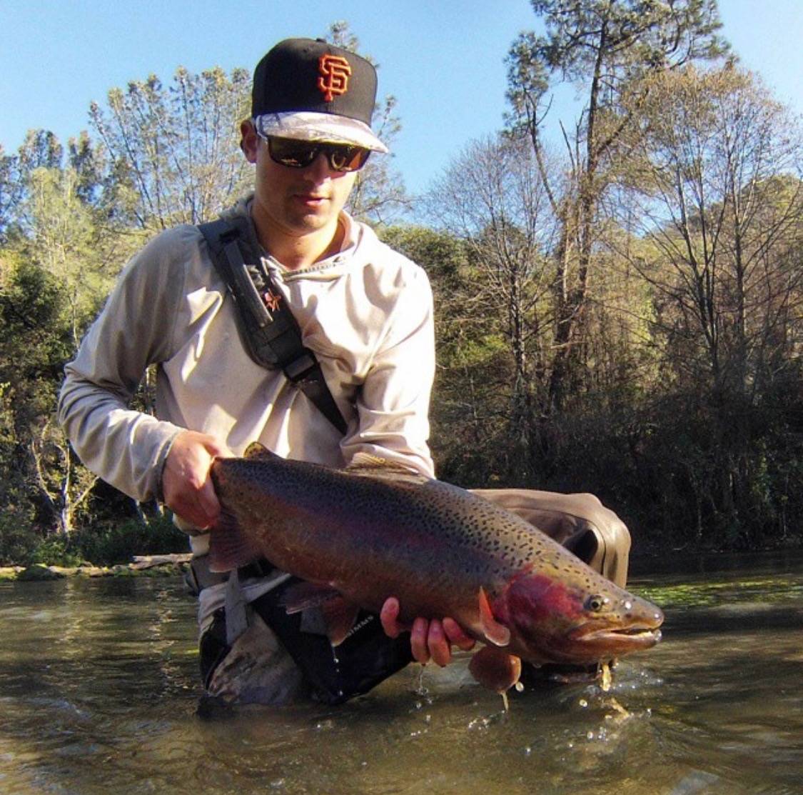 Fly Fishing Putah Creek Lost Coast Outfitters