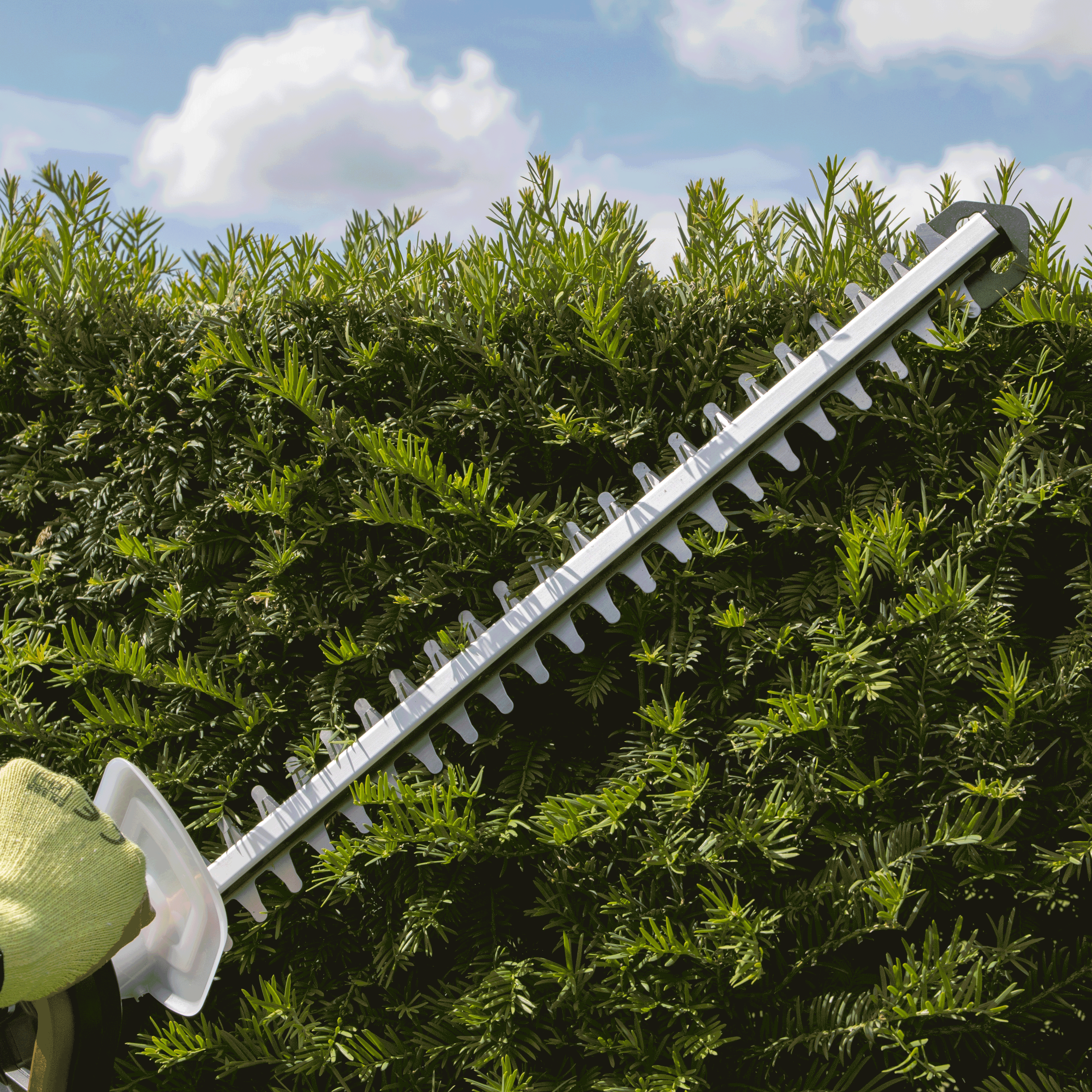 A person using a hedge trimmer on a green hedge.