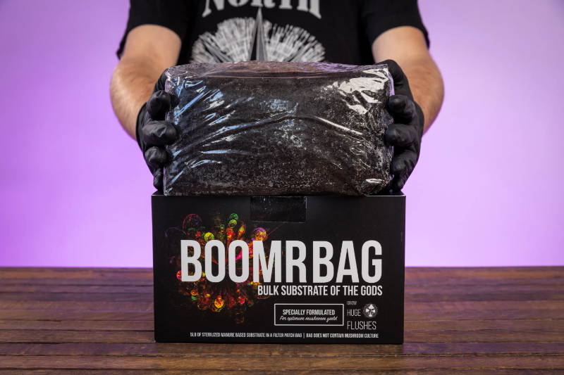 boomr bag