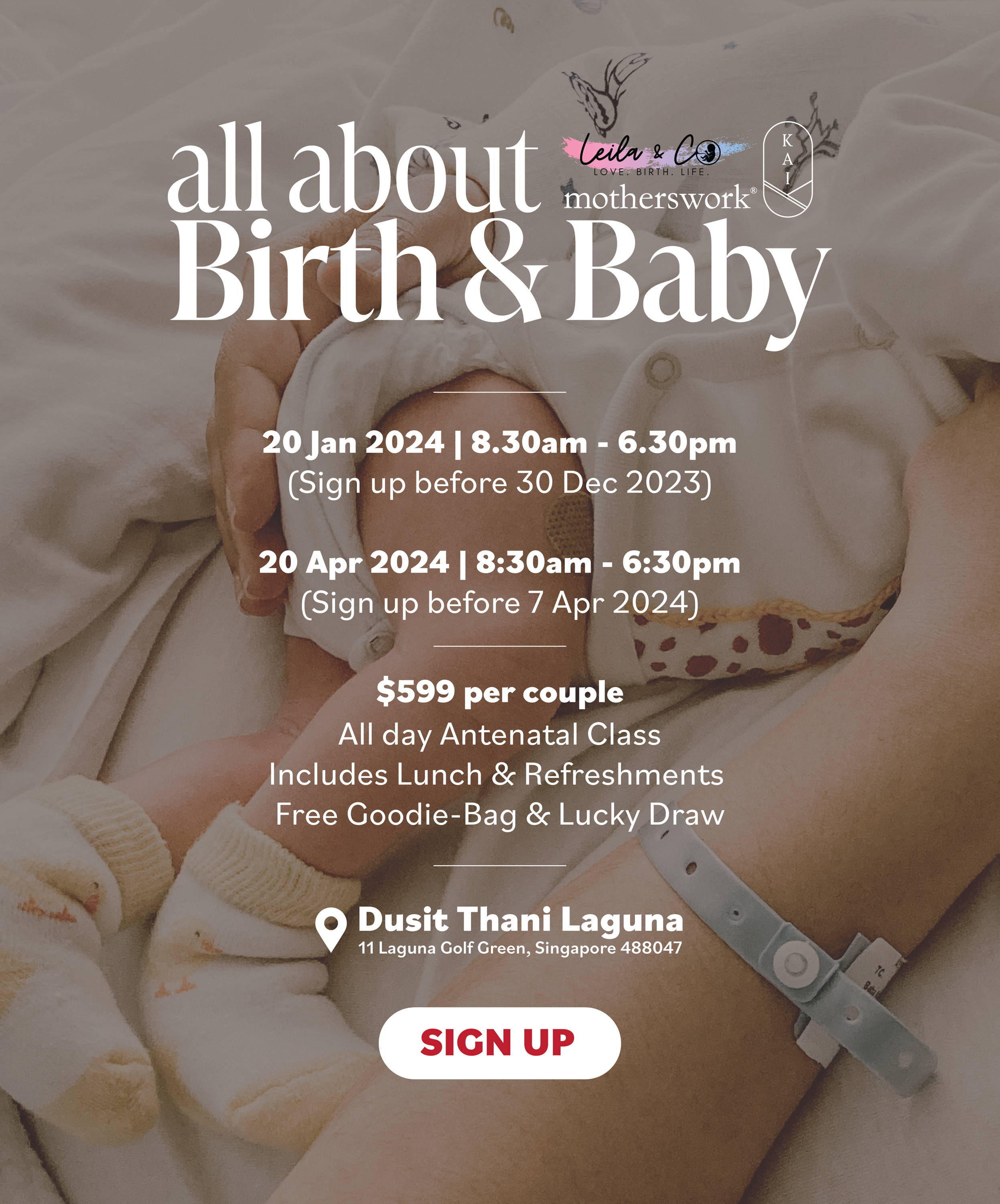 Sophie La Giraffe Singapore  Branded Baby Store Online – Motherswork
