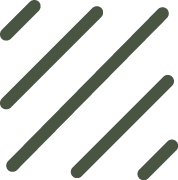 Abstract lines in varying lengths and orientations on a plain background.