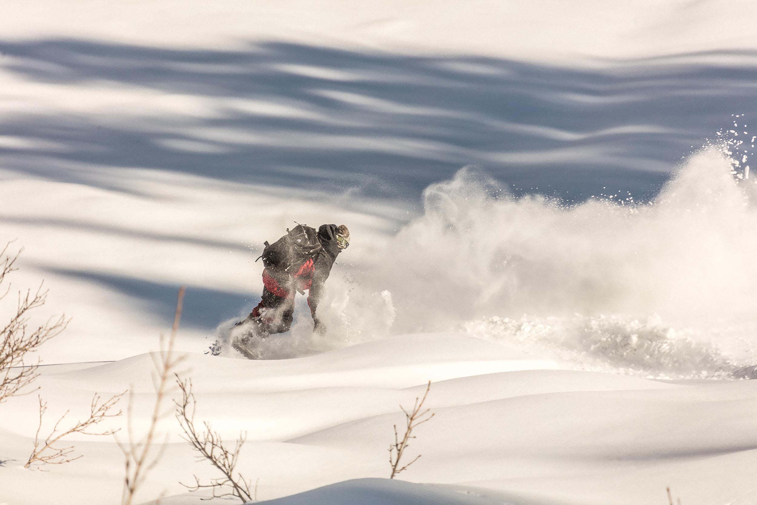 A snowboarder carving through fresh snow on a sunny day.