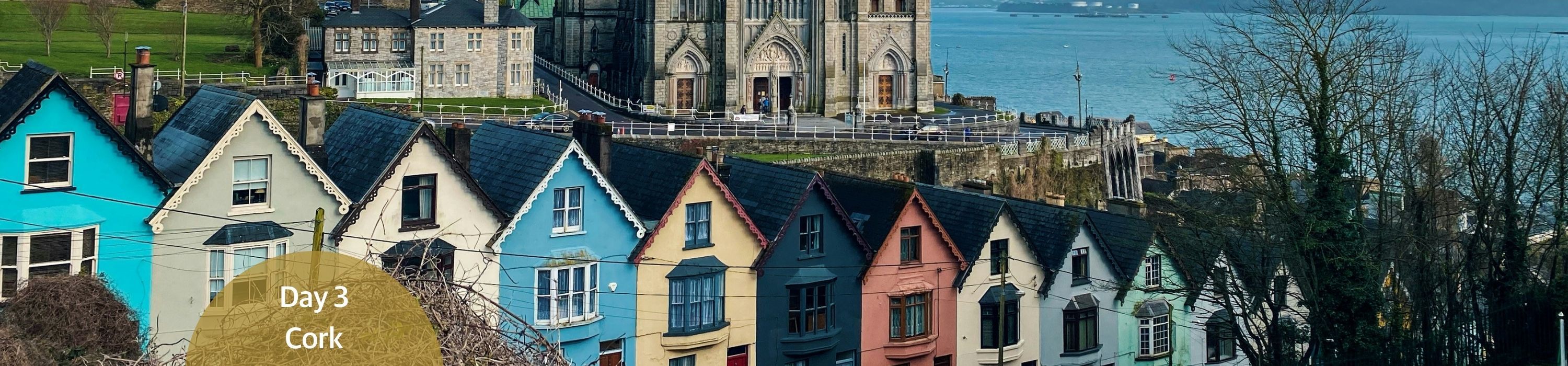 Cork
