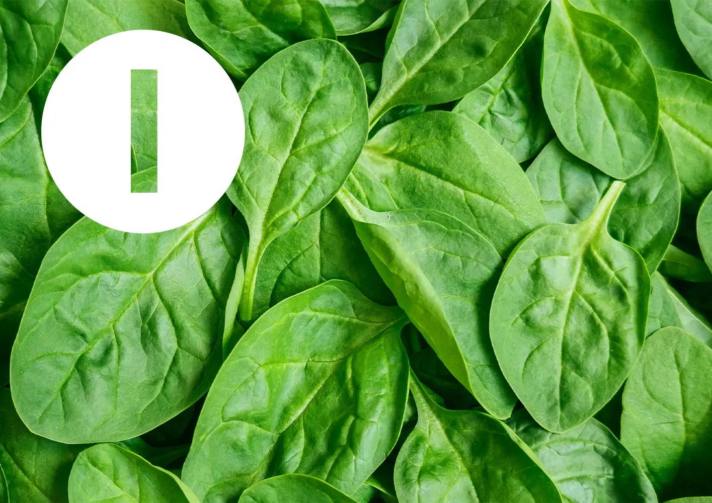 Letter I / spinach leaves.