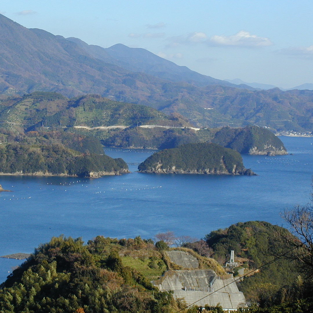 上質な真珠を育てる愛媛県西予市明浜町の海