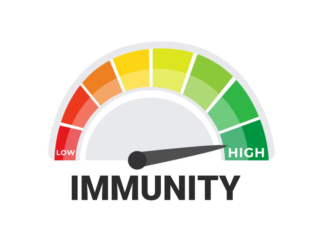 Immunity gauge with low to high levels indicated.