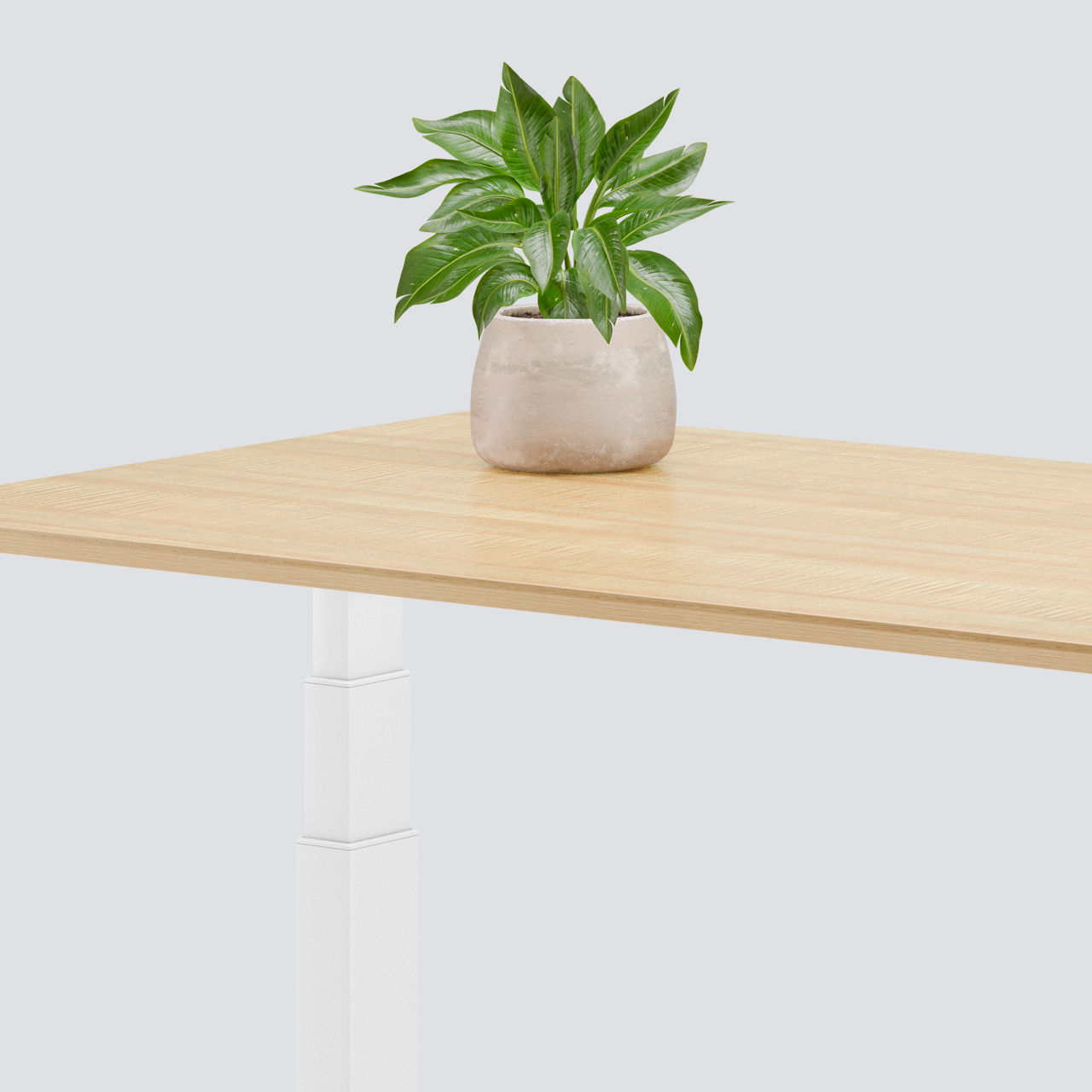 Bordure ornée d'une plante verte sur le plateau de la table de bureau à hauteur réglable électriquement Elevate , couleur 