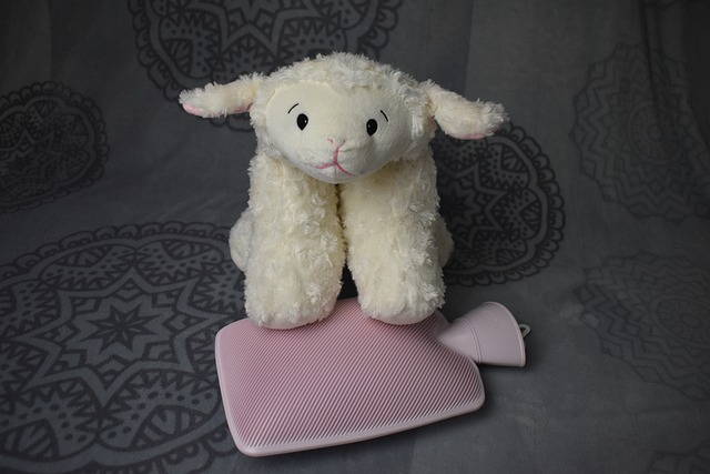 hot water bottle, sheep toy