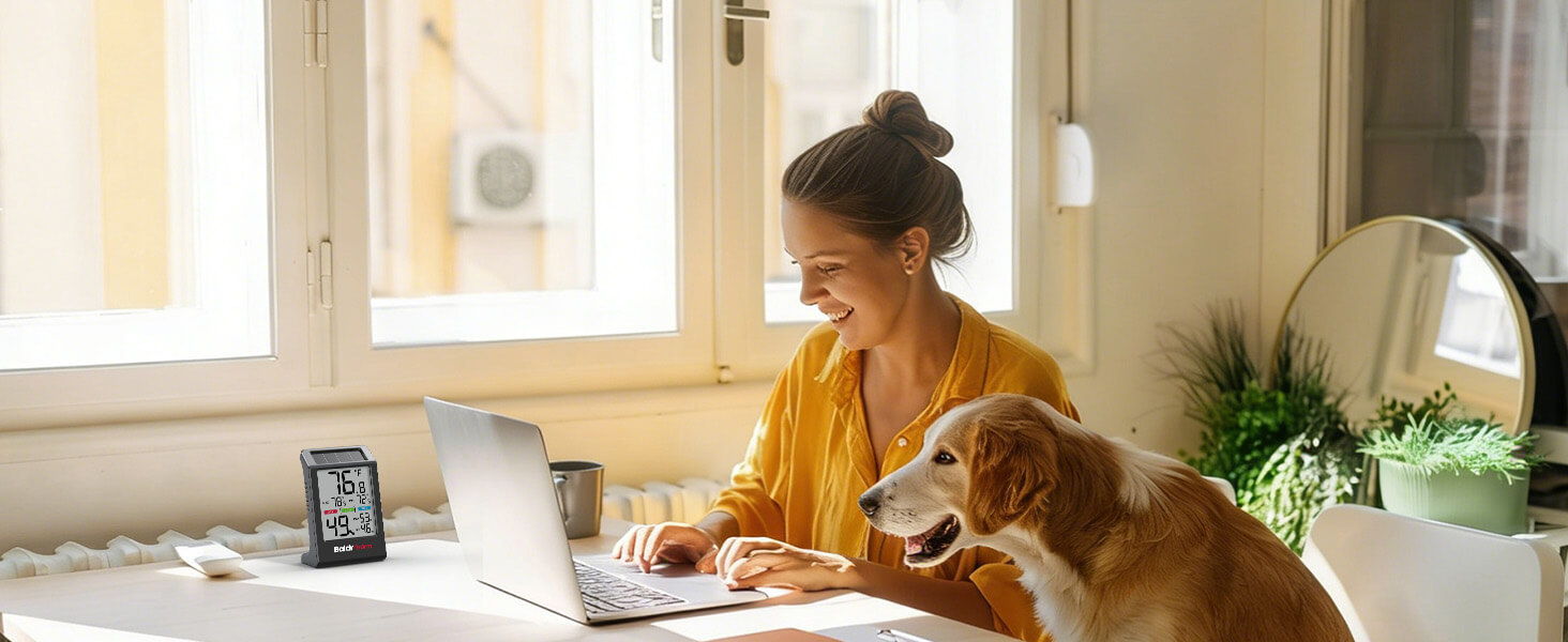 Woman working on a laptop with a dog beside her in a bright room.
