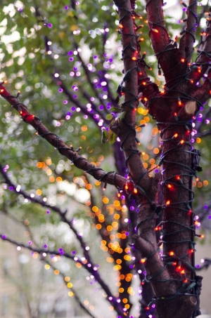 Purple and orange lights wrapped around trees in an outdoor garden setting.