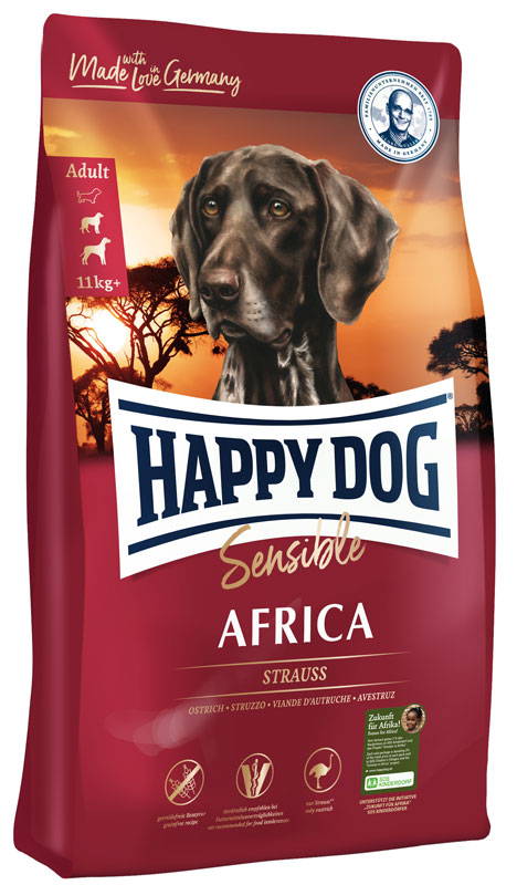 Happy dog africa