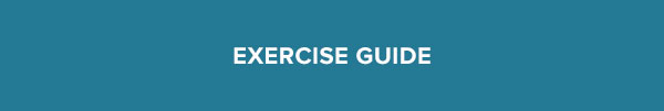 Download the exercise guide
