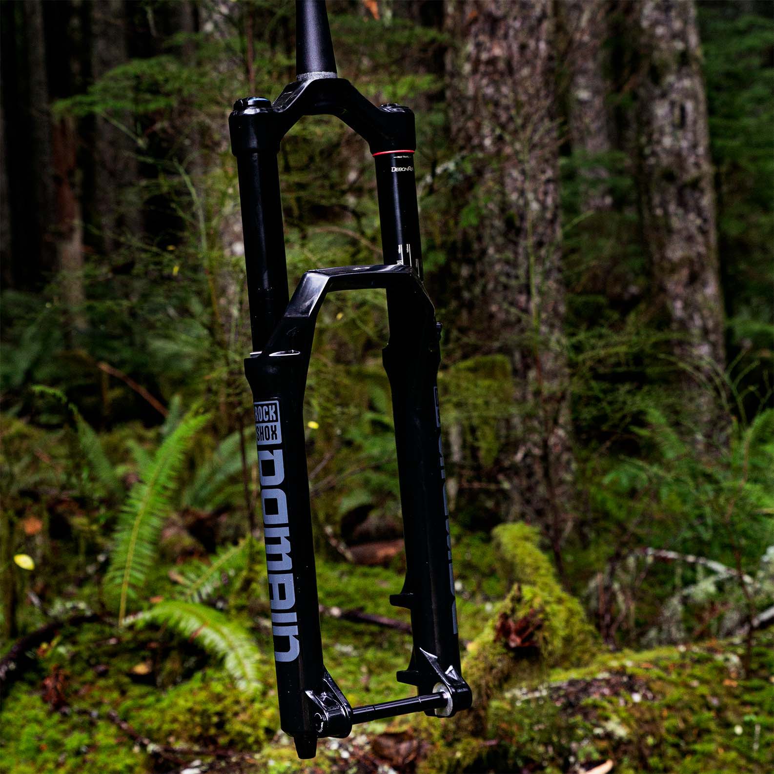 RockShox Domain RC Mountain Bike Fork floating in nature
