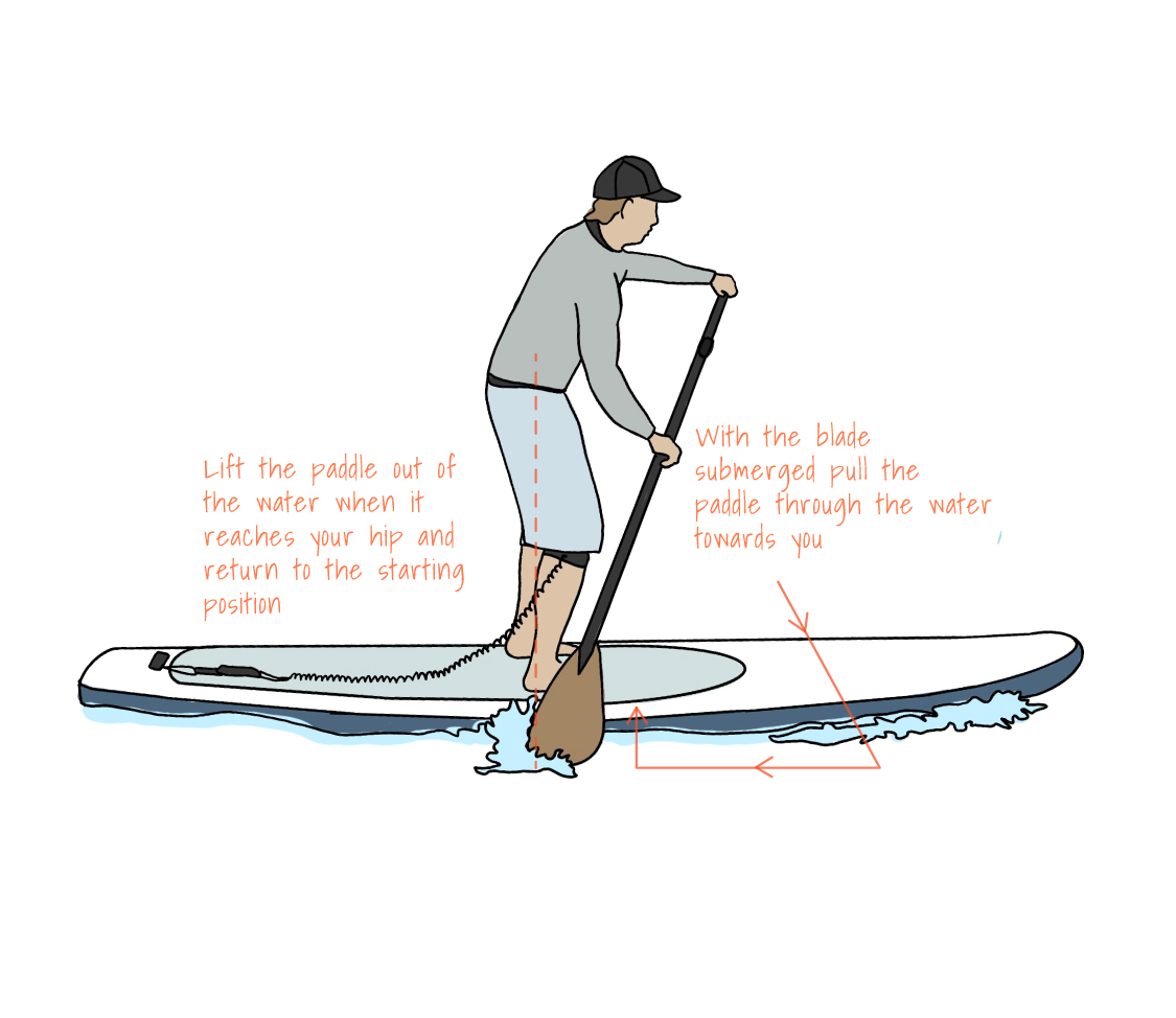 BOARD - kneel paddling technique 