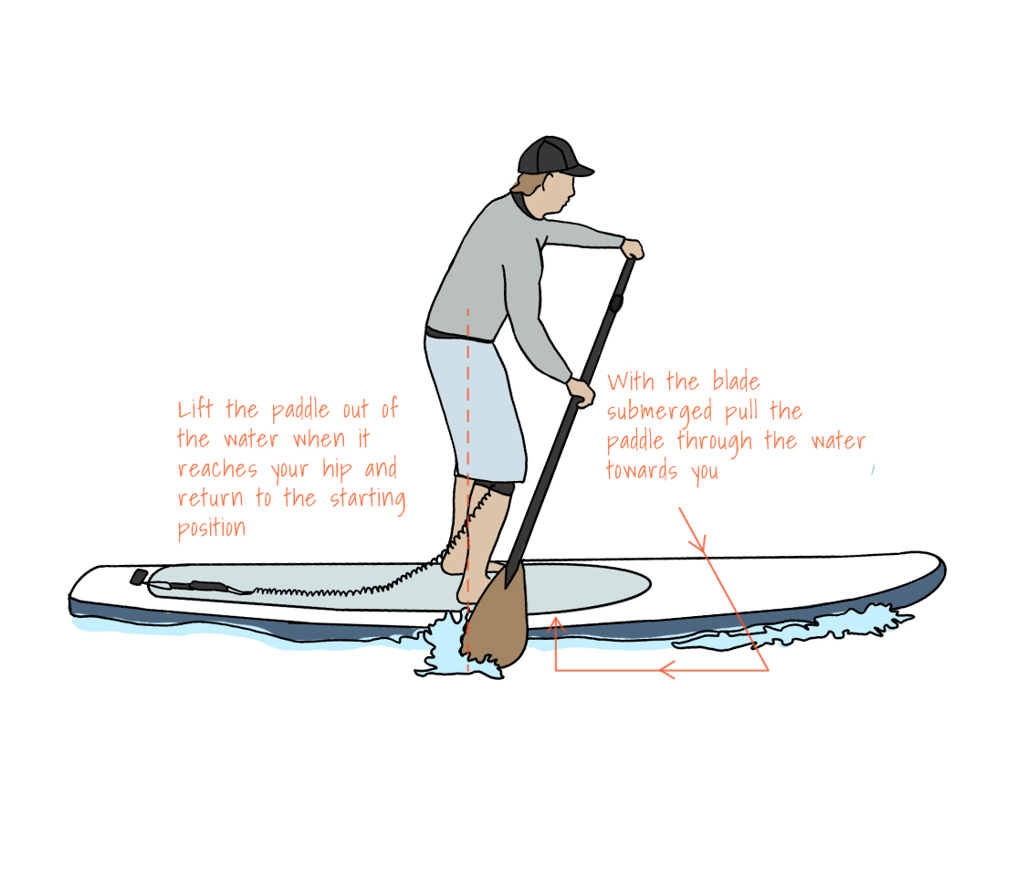How to Stand Up Paddle Board (SUP) | Expert advice for beginners 2024 ...