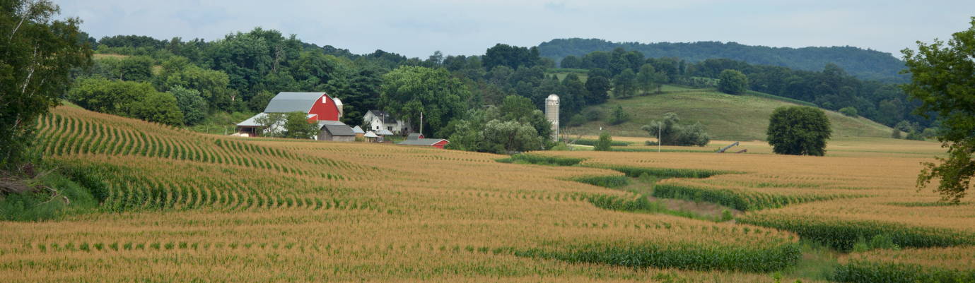 A field with a Red Barn 