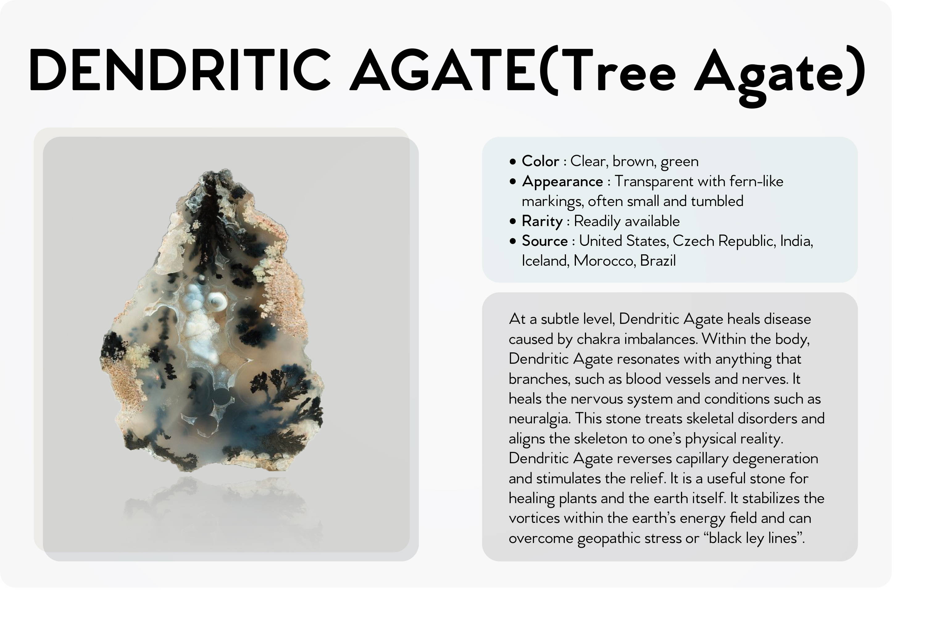 dendritic agate (tree agate)