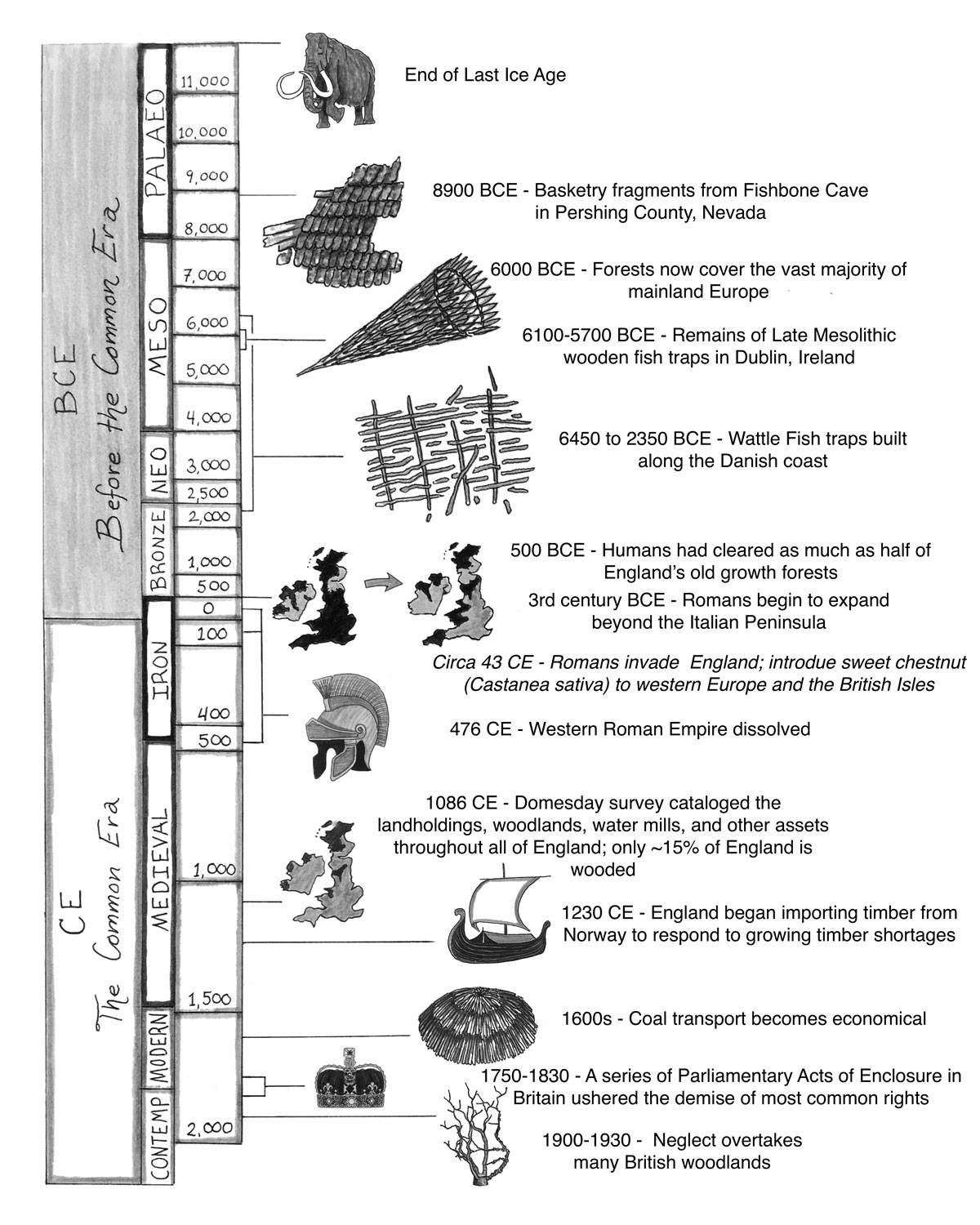 Illustration showing the timeline of the history and evolution of coppicing explored in this book