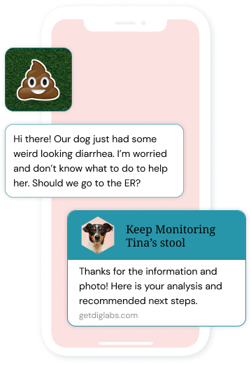 dog-diarrhea-app