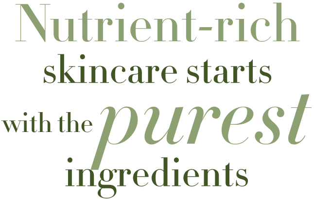 Nutrient rich skincare
